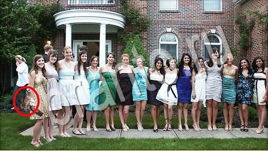 Где же кот? решения Уровень 7652