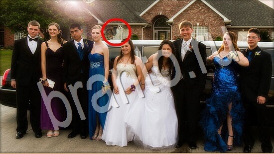 Где же кот игра ответы Уровень 7653