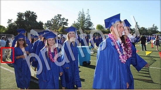 Где же кот игра подсказки Уровень 7654