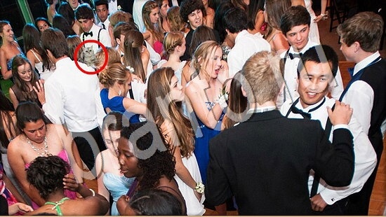 Где же кот игра помощь Уровень 7655