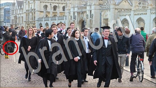 Где же кот ответы в картинках Уровень 7656