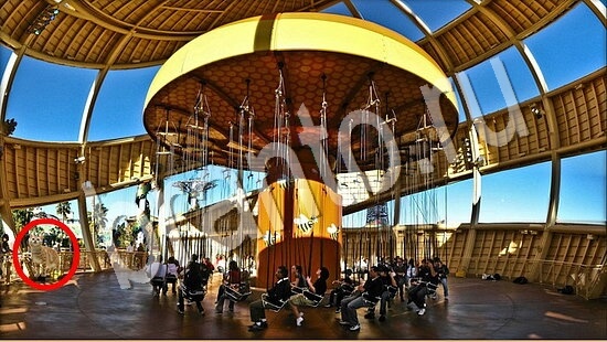 Прохождение игры Где же кот Уровень 7664