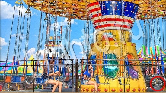 ответы Где же кот Уровень 7665