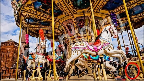 ответы Где же кот? в одноклассниках Уровень 7666