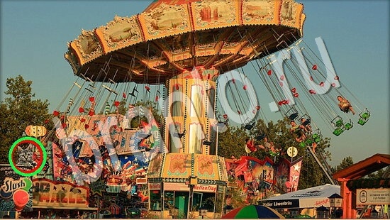 ответы для игры Где же кот Уровень 7667