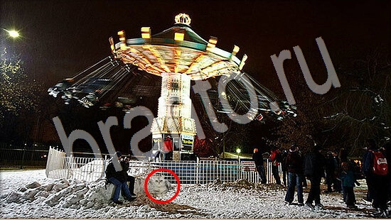 Где же кот игра ответы Уровень 7669