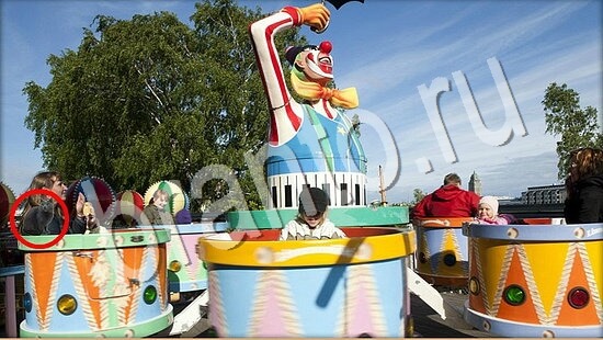 ответы на игру Где же кот в скриншотах Уровень 7672