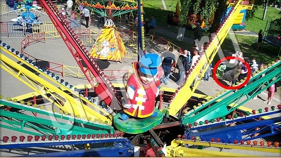 Где же кот ответы на новые задания Уровень 7673