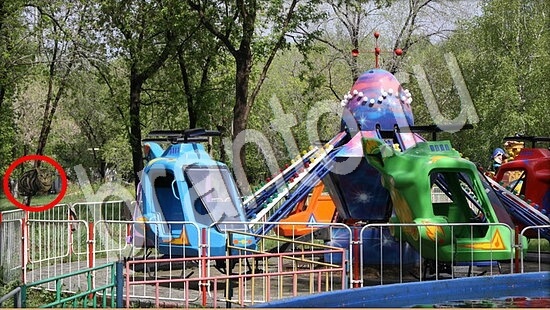 ответы на игру Где же кот Уровень 7674