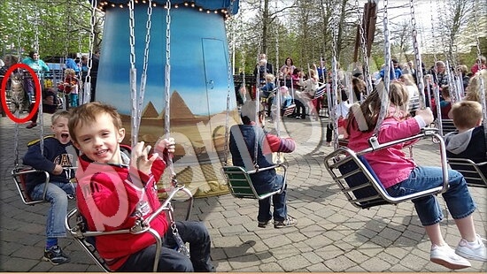 ответы на игру Где же кот Уровень 7676