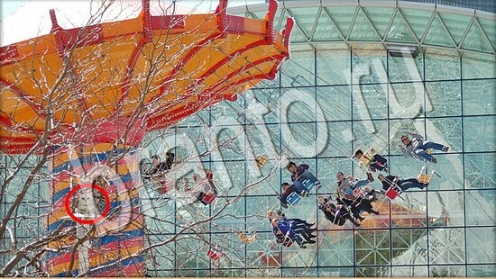 Где же кот ответы в одноклассниках Уровень 7679