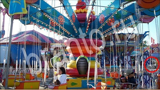 Где же кот игра ответы Уровень 7680