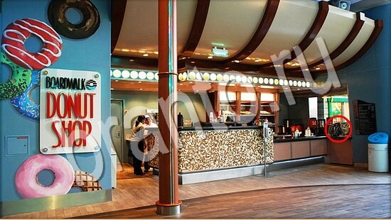 прохождение на игру Где же кот Уровень 7701