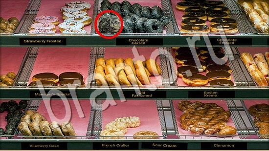 Прохождение игры Где же кот Уровень 7704