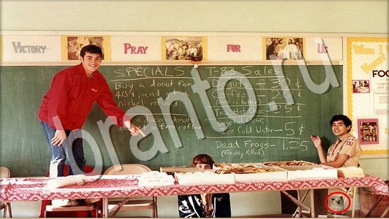 ответы Где же кот? в одноклассниках Уровень 7706