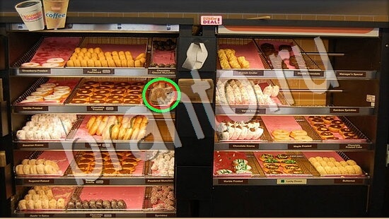 решения для игры Где же кот Уровень 7708