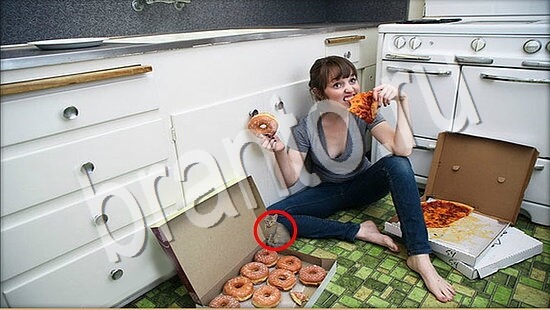 Где же кот игра ответы Уровень 7709