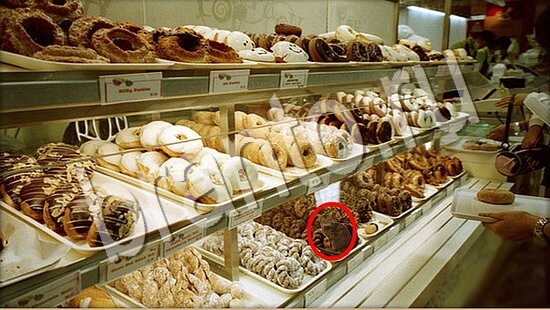 игра в одноклассниках Где же кот ответы Уровень 7710