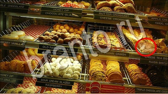 Где же кот помощь в картинках Уровень 7711