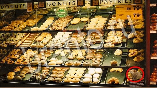 ответы на игру Где же кот в скриншотах Уровень 7712