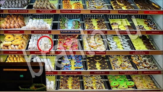 ответы на игру Где же кот Уровень 7714