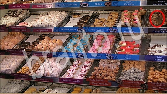 решения на игру Где же кот Уровень 7715