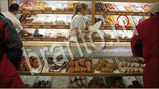 ответы на игру Где же кот Уровень 7716