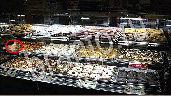 ответы в картинках на игру Где же кот Уровень 7717