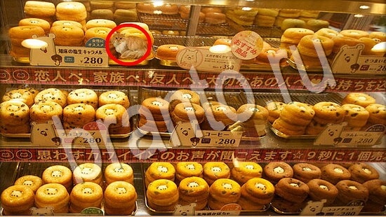 Где же кот ответы в одноклассниках Уровень 7719