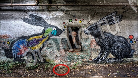 Игра Где же кот подсказки Уровень 7738