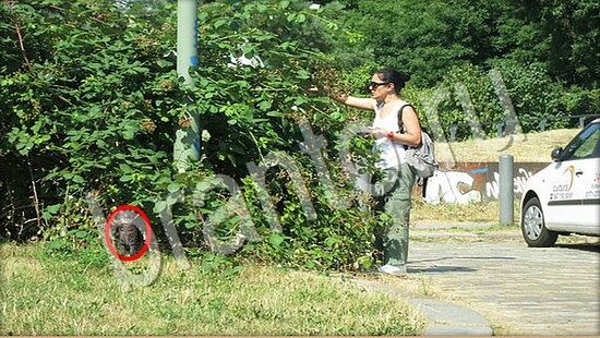 відповіді на игру Где же кот в одноклассниках Уровень 7743