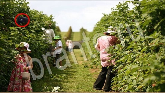 Прохождение игры Где же кот Уровень 7744