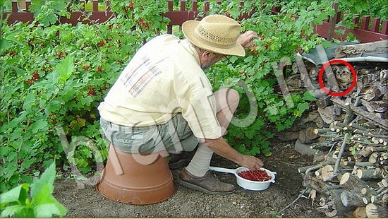 ответы Где же кот Уровень 7745