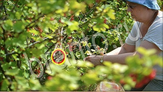 ответы Где же кот? в одноклассниках Уровень 7746