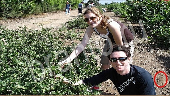 ответы для игры Где же кот Уровень 7747