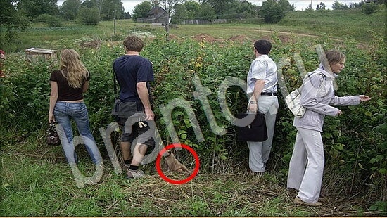 Где же кот игра ответы Уровень 7749