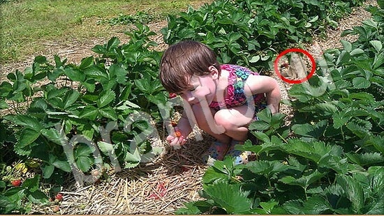 ответы в картинках на игру Где же кот Уровень 7757