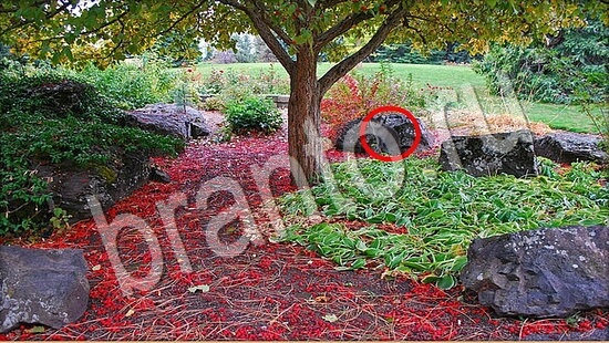 Где же кот ответы в одноклассниках Уровень 7759