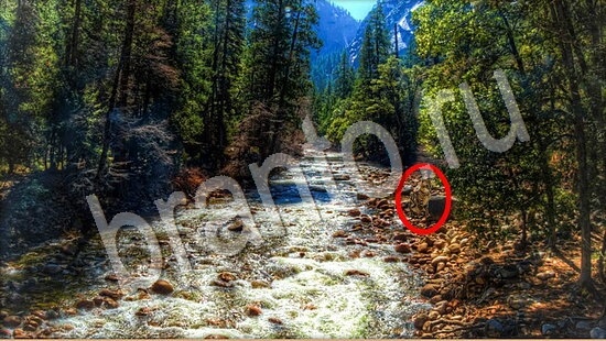 відповіді на игру Где же кот в одноклассниках Уровень 7783