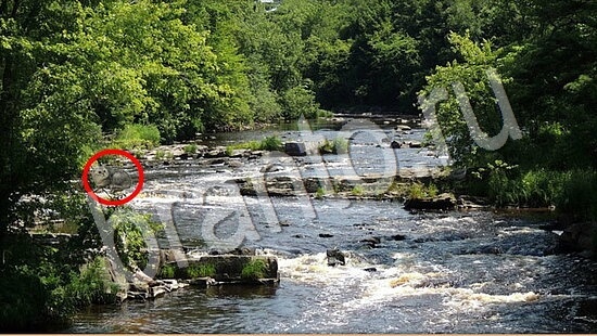 Прохождение игры Где же кот Уровень 7784