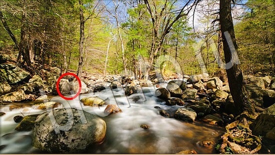 ответы для игры Где же кот Уровень 7787