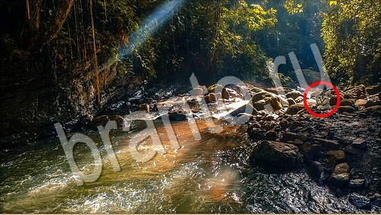 игра в одноклассниках Где же кот ответы Уровень 7790