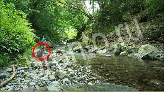 Где же кот помощь в картинках Уровень 7791