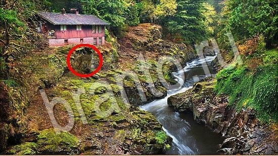 Где же кот ответы на новые задания Уровень 7793