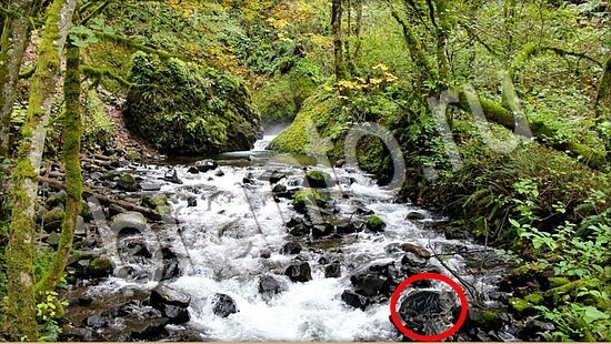 решения на игру Где же кот Уровень 7795