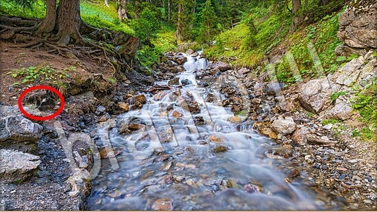 ответы в картинках на игру Где же кот Уровень 7797