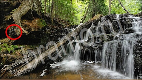 помощь на игру Где же кот Уровень 7798