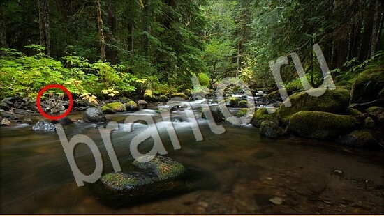 Где же кот ответы в одноклассниках Уровень 7799