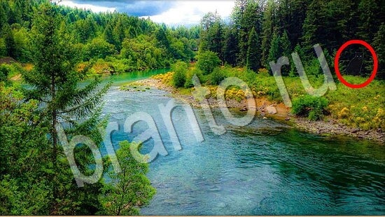 Где же кот игра ответы Уровень 7800