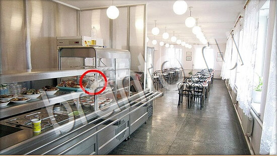 Решения на игру Где же кот Уровень 7803